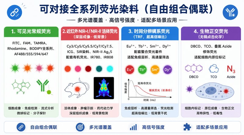 荧光标记DOTA/NOTA/DTPA螯合剂定制开发