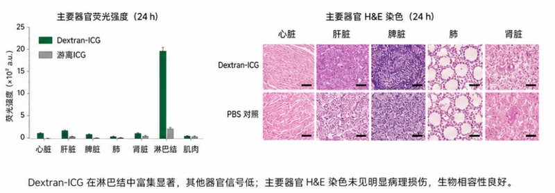 可降解聚合物的ICG荧光标记与功能化定制