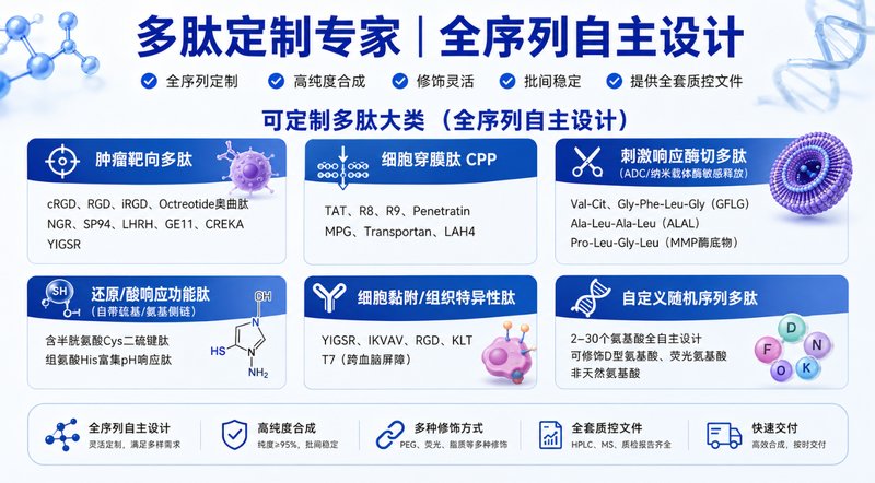 PEG功能化多肽精准定制|mPEG、线性PEG及多臂PEG