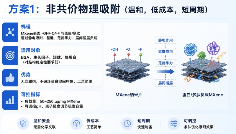 MXene基蛋白/多肽功能化复合材料定制服务