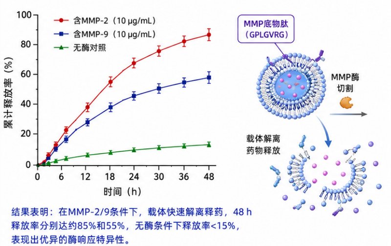 靶向配体/荧光染料双修饰PEG-磷脂定制