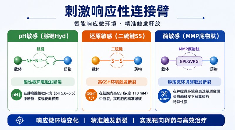 靶向配体/荧光染料双修饰PEG-磷脂定制