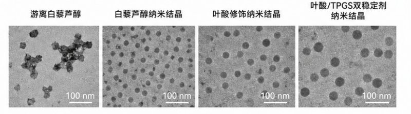 多酚类活性成分PEG化衍生物定制服务
