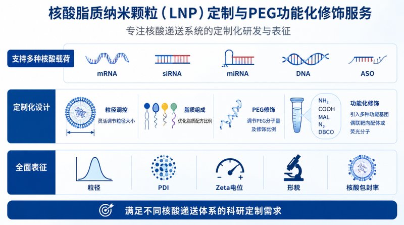 PEG功能化核酸脂质纳米颗粒（LNP）定制与配方优化
