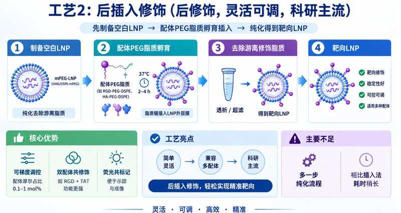 PEG功能化核酸脂质纳米颗粒（LNP）定制与配方优化