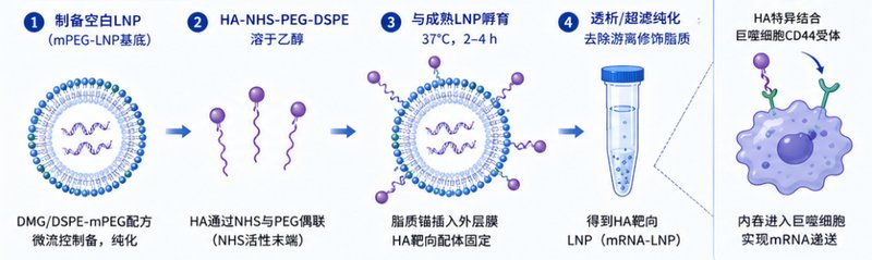 PEG功能化核酸脂质纳米颗粒（LNP）定制与配方优化