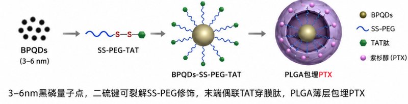 黑磷纳米材料小分子载药定制与功能化修饰
