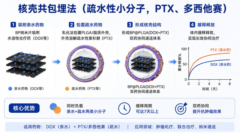 黑磷纳米材料小分子载药定制与功能化修饰