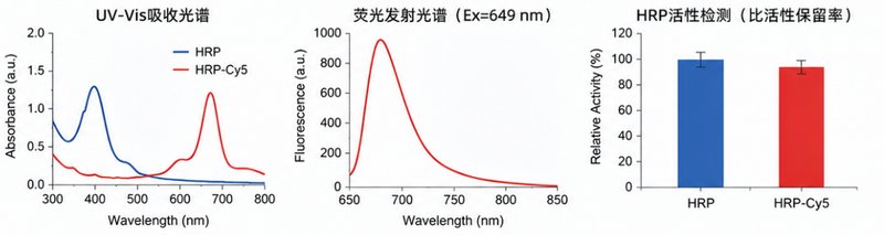 酶-荧光染料偶联定制与多类型荧光基团功能化修饰