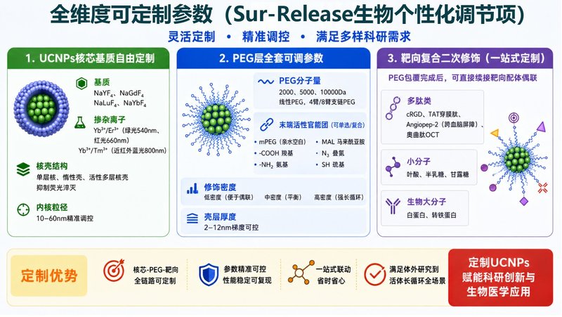 PEG包覆上转换发光纳米颗粒(UCNPs)制备与功能化定制