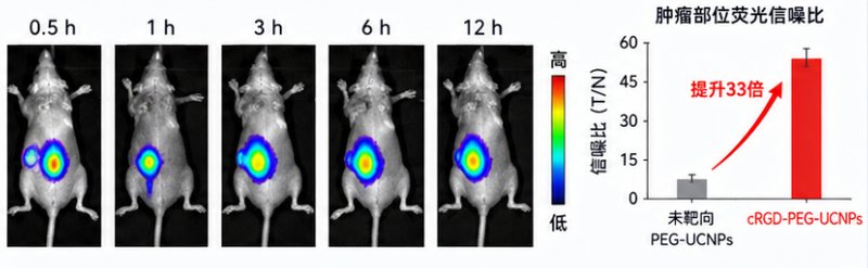 PEG包覆上转换发光纳米颗粒(UCNPs)制备与功能化定制