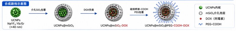 PEG包覆上转换发光纳米颗粒(UCNPs)制备与功能化定制