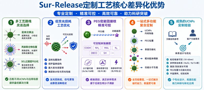 PEG包覆上转换发光纳米颗粒(UCNPs)制备与功能化定制
