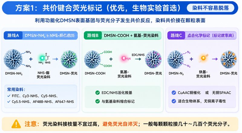 树枝状介孔硅DMSN靶向修饰/荧光标记一体化定制