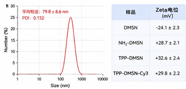 树枝状介孔硅DMSN靶向修饰/荧光标记一体化定制