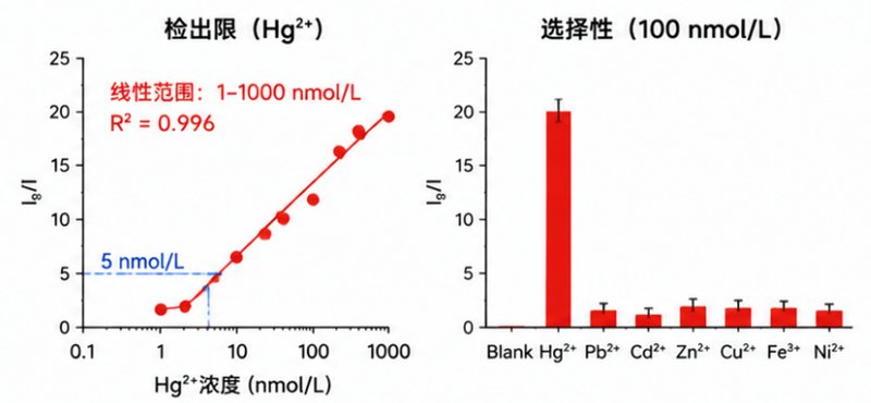树枝状介孔硅DMSN靶向修饰/荧光标记一体化定制