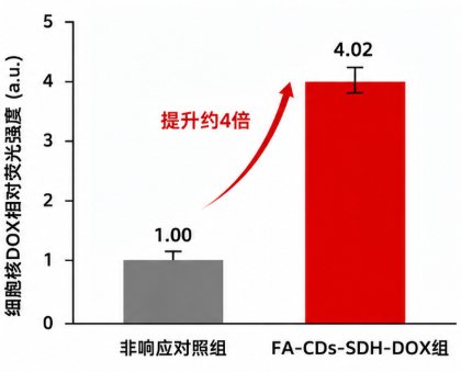 碳量子点载药荧光示踪与pH响应定制