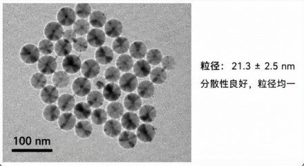 ICG荧光标记Fe₃O₄磁性载药纳米探针定制
