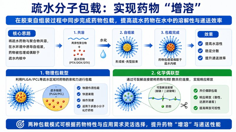 疏水小分子药物PEG胶束定制|增溶、载药与控释一体化