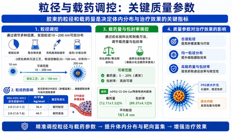 疏水小分子药物PEG胶束定制|增溶、载药与控释一体化