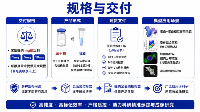 Cys位点荧光偶联多肽定制|定点标记与功能化设计