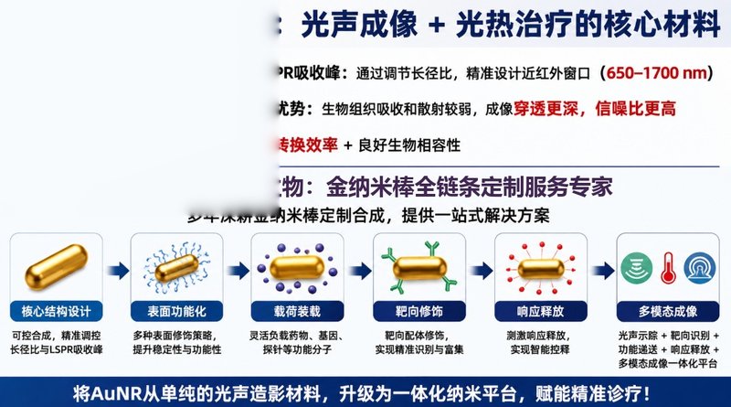 功能化AuNR光声纳米平台定制｜靶向、载药与表面改性