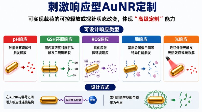 功能化AuNR光声纳米平台定制｜靶向、载药与表面改性