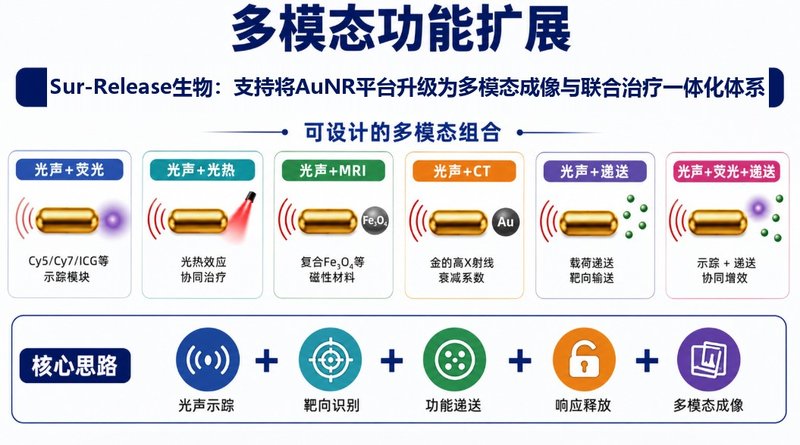 功能化AuNR光声纳米平台定制｜靶向、载药与表面改性