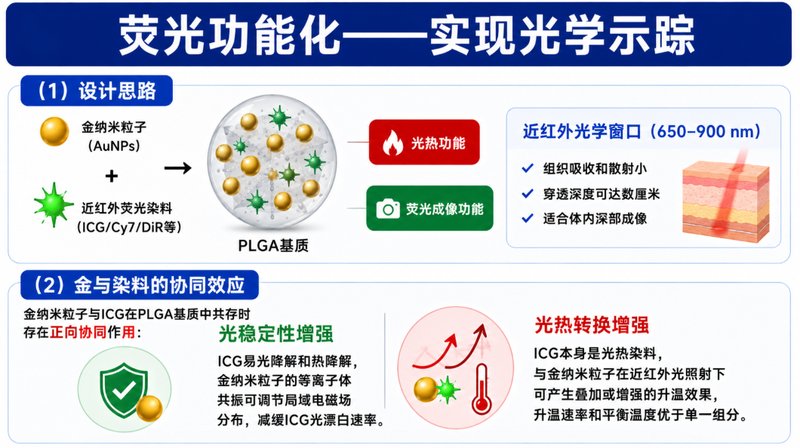 纳米金-PLGA复合纳米粒的定制化制备