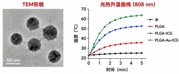 纳米金-PLGA复合纳米粒的定制化制备