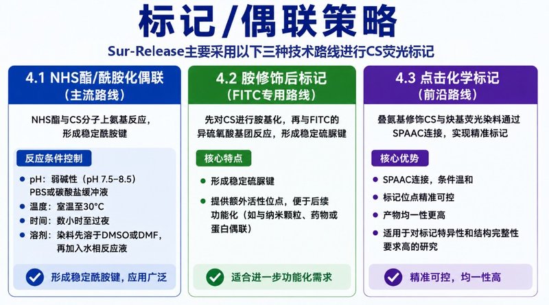 硫酸软骨素如何实现荧光标记？定制方法解析