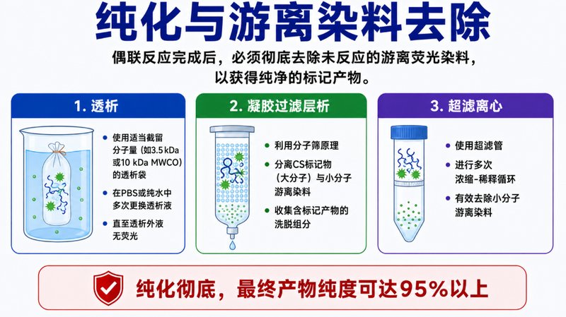 硫酸软骨素如何实现荧光标记？定制方法解析