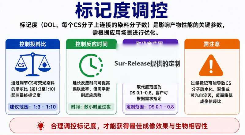 硫酸软骨素如何实现荧光标记？定制方法解析