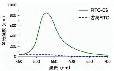 硫酸软骨素如何实现荧光标记？定制方法解析