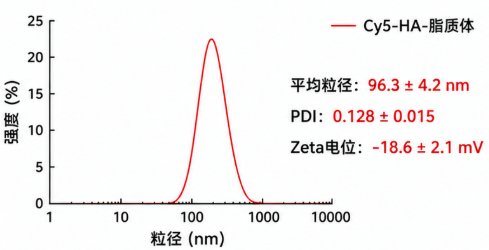 荧光多糖-脂质体怎么定制?从示踪需求到递送功能设计