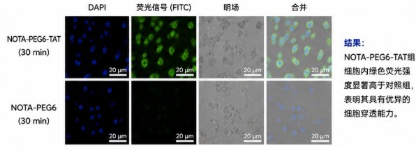 NOTA衍生化改性有哪些选择？Sur-Release生物技术服务提供多维度定制