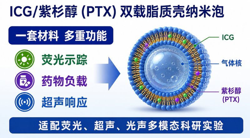 ICG/紫杉醇双载脂质纳米泡定制,实现荧光示踪与药物共载——Sur-Release生物技术服务