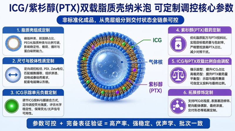 ICG/紫杉醇双载脂质纳米泡定制,实现荧光示踪与药物共载——Sur-Release生物技术服务
