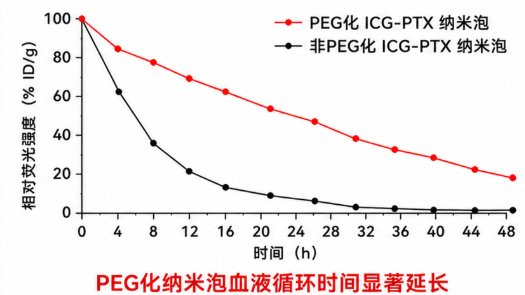 ICG/紫杉醇双载脂质纳米泡定制,实现荧光示踪与药物共载——Sur-Release生物技术服务