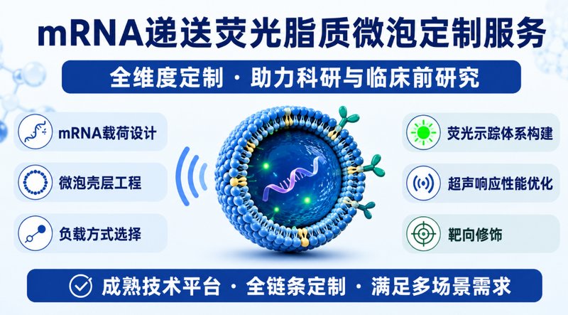 荧光示踪型mRNA脂质微泡|包载、递送与检测一体化