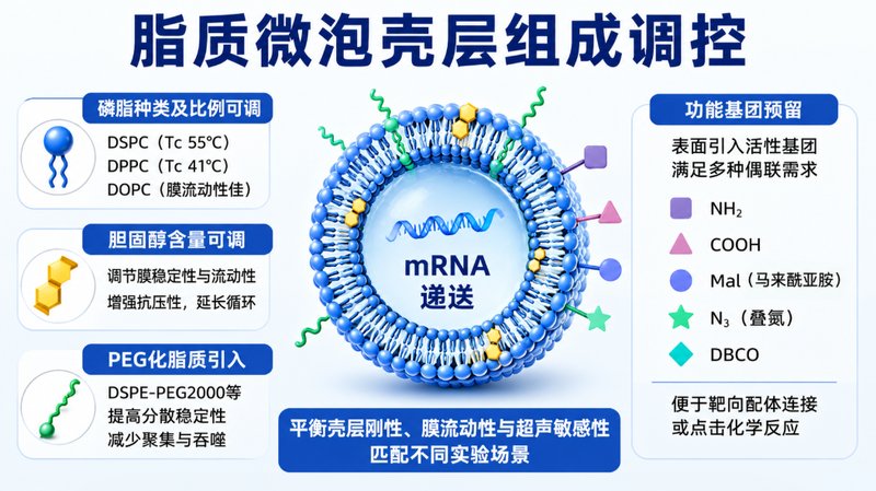 荧光示踪型mRNA脂质微泡|包载、递送与检测一体化