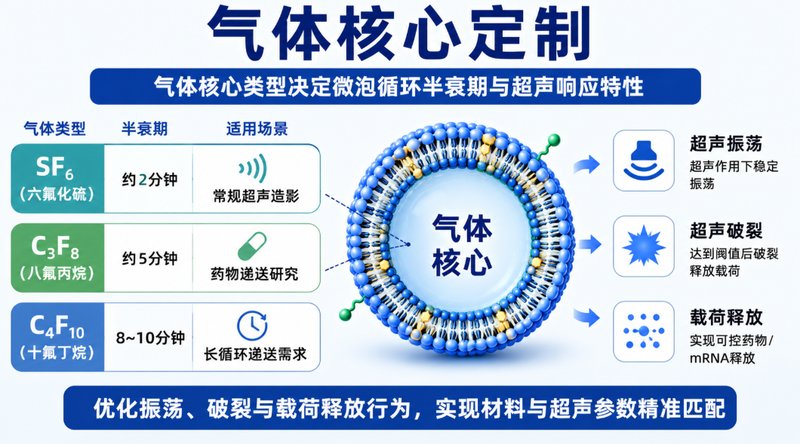 荧光示踪型mRNA脂质微泡|包载、递送与检测一体化