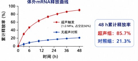 荧光示踪型mRNA脂质微泡|包载、递送与检测一体化