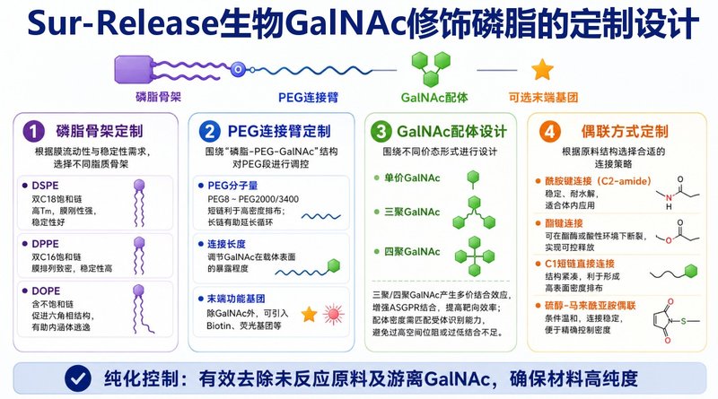 GalNAc磷脂如何实现肝靶向?ASGPR识别材料定制