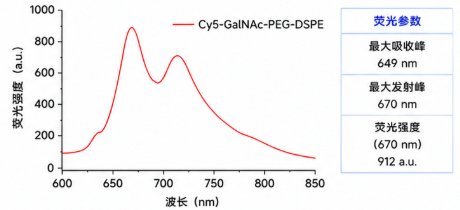 GalNAc磷脂如何实现肝靶向?ASGPR识别材料定制