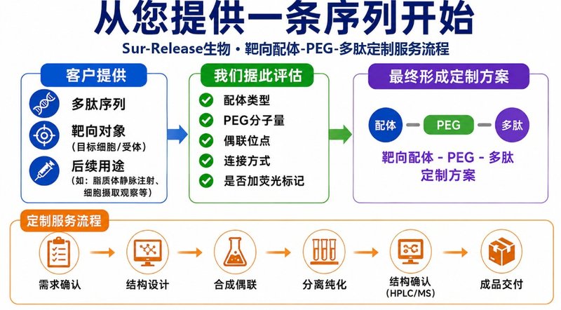 靶向配体修饰PEG-多肽定制|功能材料开发