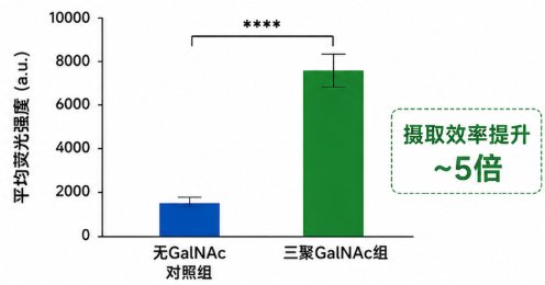 靶向配体修饰PEG-多肽定制|功能材料开发