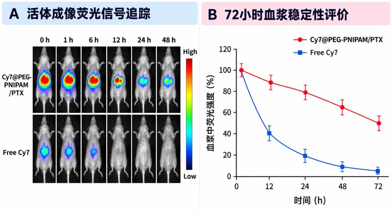 近红外荧光示踪型PNIPAM-PTX纳米载体定制