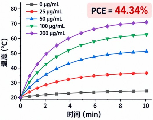 Bi₂S₃载药纳米体系定制｜CT成像与功能集成