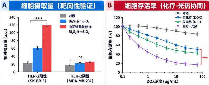 Bi₂S₃载药纳米体系定制｜CT成像与功能集成